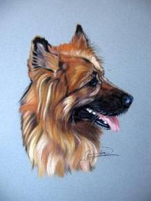 retrato perro - Jack