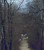 BCBSDrivewayAndDeer.jpg