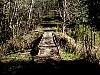 NearCldMtnRicketyBridge.jpg
