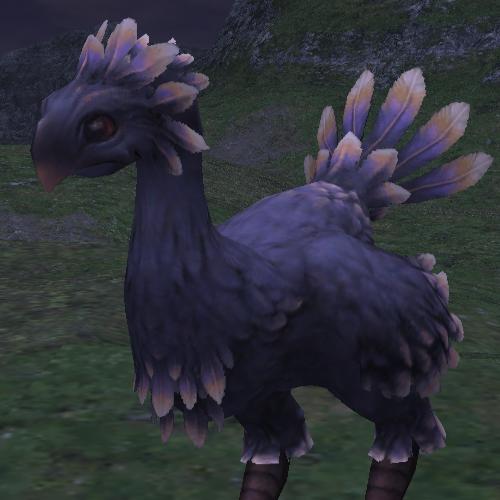 Apollofae's Feufeu (retired)