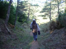 ZONA DE BOSQUE
