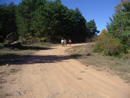 REGRESO POR PISTA ANCHA