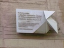 CASA DE RAM�N AC�N