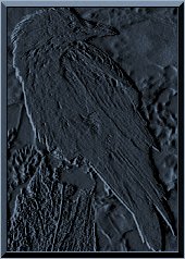 The Raven