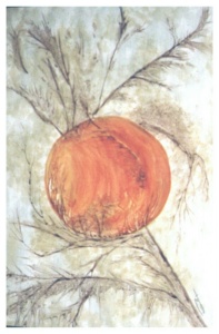 laranja