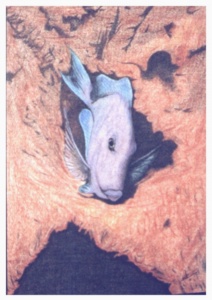 peixe