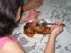 May scraping away at the crab shells!