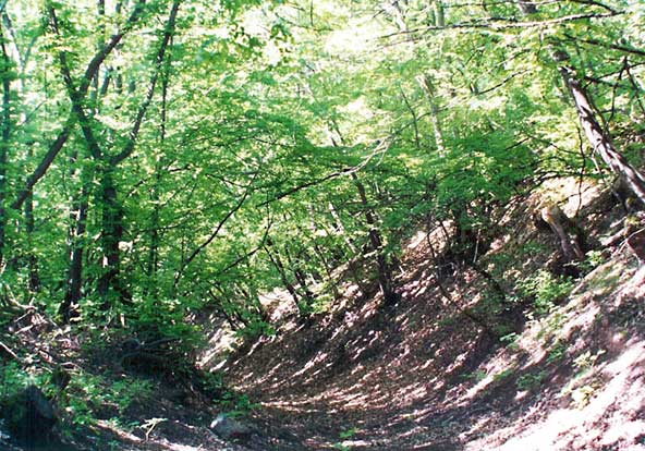 The path from Kojori fortress to Ormotsa eklesia - ����� �� ���������� �������� � ������� �������