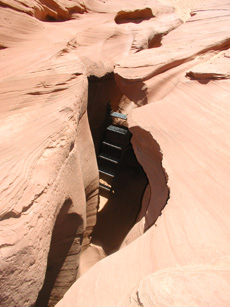 The Ladder Going Down.jpg