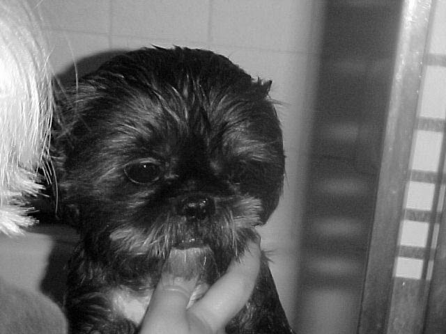 Arf Arf!&nbsp; I love Erika!