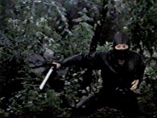 sho sneaking around in the woods ninja style
