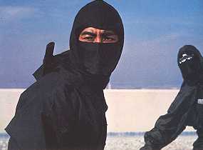 Pictures from revenge of the ninja, enter the ninja, 9 deaths of the ninja and others  found at various sites
