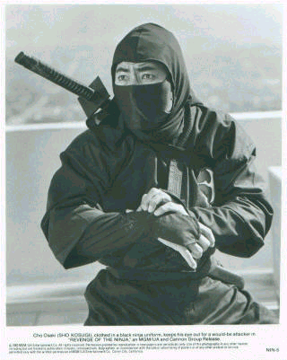 whoever just called me a wannabe ninja is about to die!!!