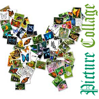 Picture Collage