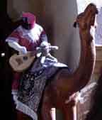 Soc riding a sweet camel in Morocco!