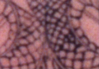 This is a close up of the dragons' necks - look at the errors!