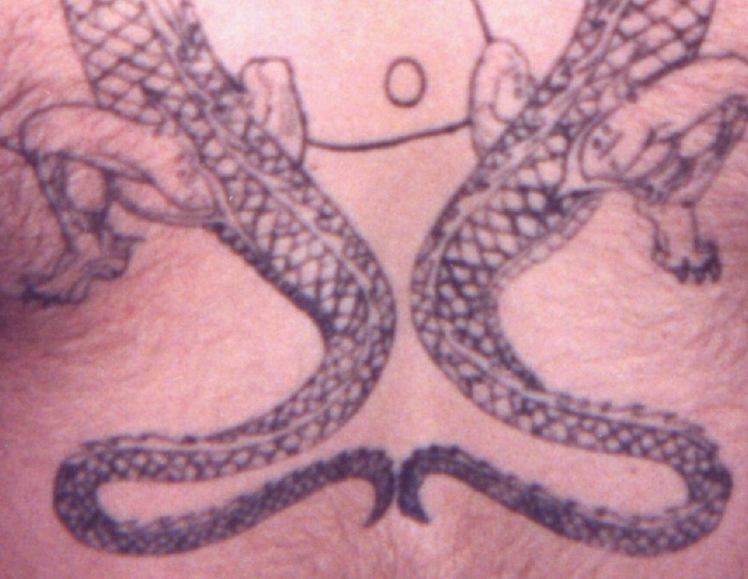 Close-up of the tails.&nbsp; Note the inconsistent scales.