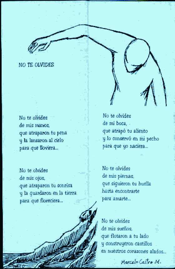 Pincha en la imagen para agrandar