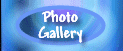 photo gallery