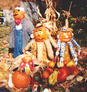 A Family of Pumpkins in Ahuntsic, Montreal, Quebec