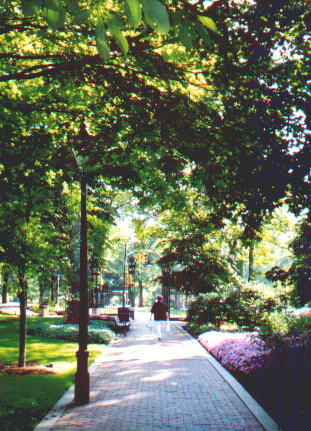 A Pathway in the Loyalist Burial Grounds