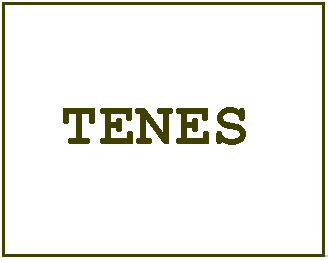 wys