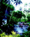 Grotto-x.jpg (136518 bytes)