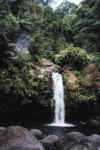MajayjayFalls-x.jpg (174086 bytes)