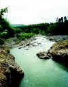 TanauanRiver-x.jpg (106362 bytes)