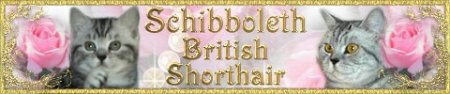 Schibboleths Britisk Korth�r