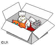 Kittens in box