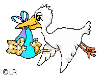 Kitten with stork
