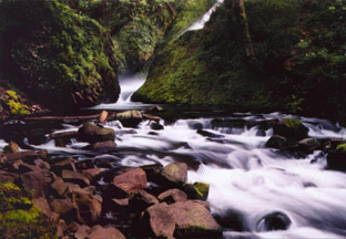 Portland,OREGON