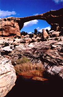 Bridges N.P.-UTAH