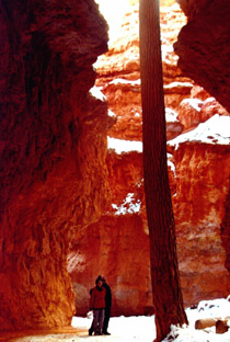 Bryce Canyon,UTAH