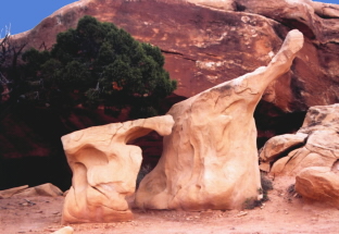 Canyonland N.P.-UTAH