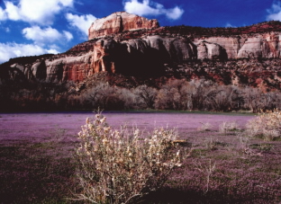 Canyonland N.P.-UTAH