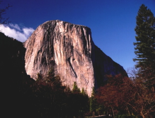 Yosemite N.P.-CALIFORNIA