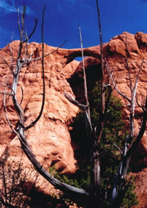 Kodachrome S.P.-UTAH