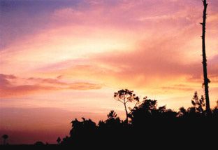 Evarglades,FLORIDA