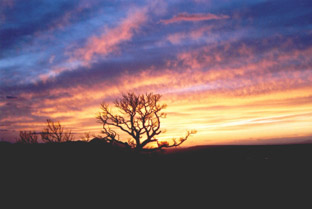 Mesa Verde N.P.-COLORADO