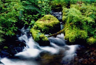 Munson,OREGON
