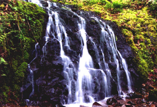 Oneonta Trail,OREGON