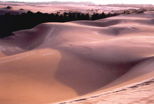 Oregon Dunes N.P.-OREGON