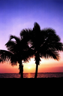 Sanibel Island,FLORIDA