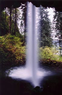 Pony Tail Falls,OREGON