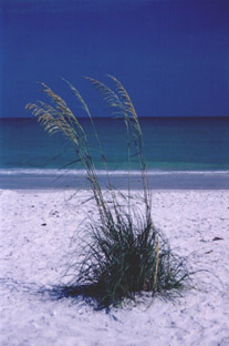 Sanibel Island,FLORIDA