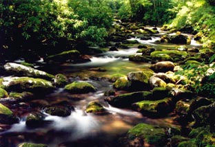 Smoky Mountains,TENNESSEE