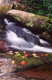 Smoky Mountains,TENNESSEE