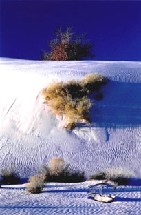 White sands N.P.-NEW MEXICO